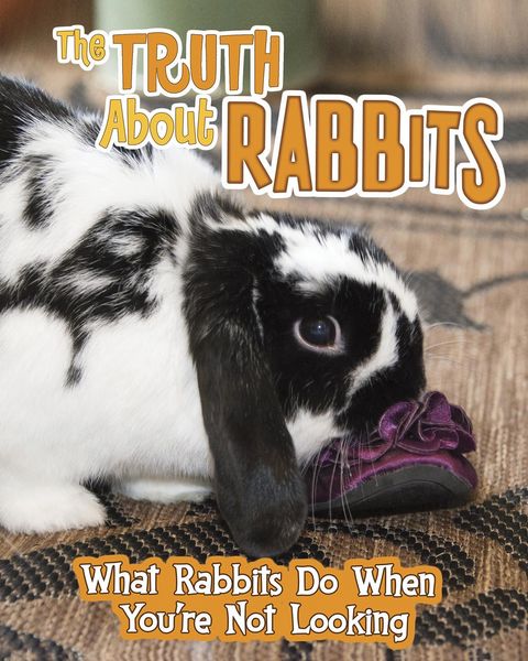 Produktbild: Truth about Rabbits