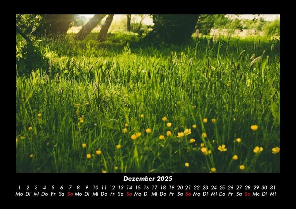 Produktbild: Blumenkalender 2025 Fotokalender DIN A3