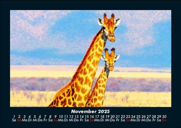 Produktbild: Giraffen 2025 Fotokalender DIN A5
