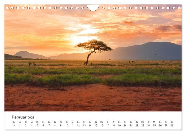 Produktbild: Safari durch Afrika (Wandkalender 2026 DIN A4 quer), CALVENDO Monatskalender