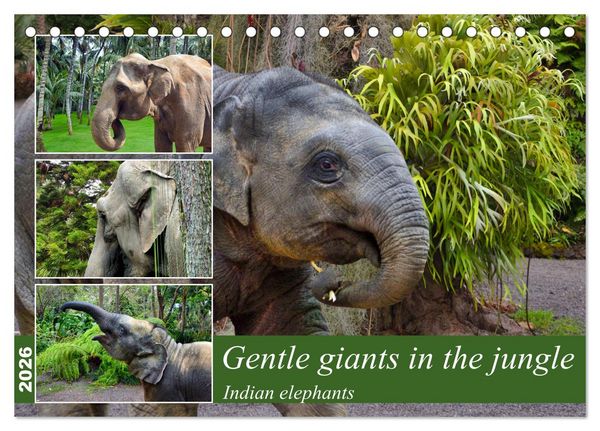 Produktbild: Gentle giants in the jungle (Desk Calendar 2026 DIN A5 landscape), CALVENDO 12 Month DeskCalendar