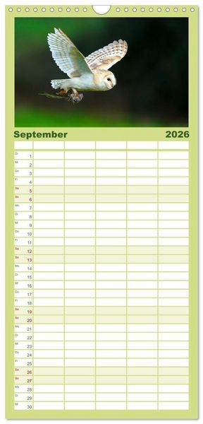 Produktbild: Familienplaner 2026 - Eulen - Wachsame und geheimnisvolle Augen mit 5 Spalten (Wandkalender, 21 x 45 cm) CALVENDO