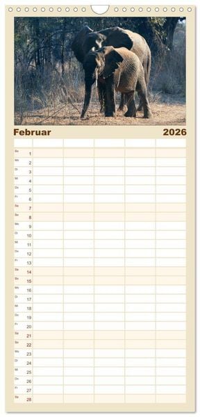Produktbild: Familienplaner 2026 - begegnungen - elefanten im s&uuml;dlichen afrika mit 5 Spalten (Wandkalender, 21 x 45 cm) CALVENDO