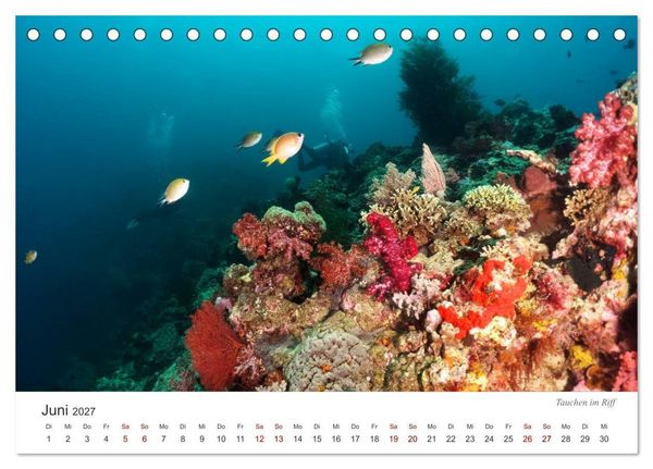 Produktbild: Unterwasser - eine bunte Welt (Tischkalender 2027 DIN A5 quer), CALVENDO Monatskalender