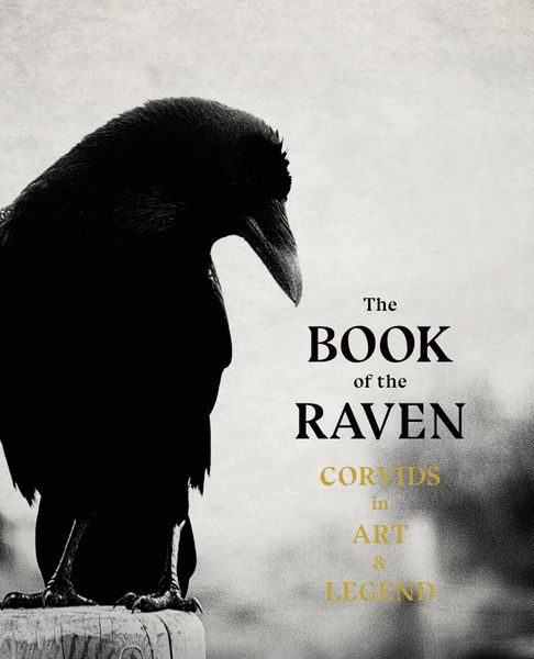 Produktbild: The Book of the Raven