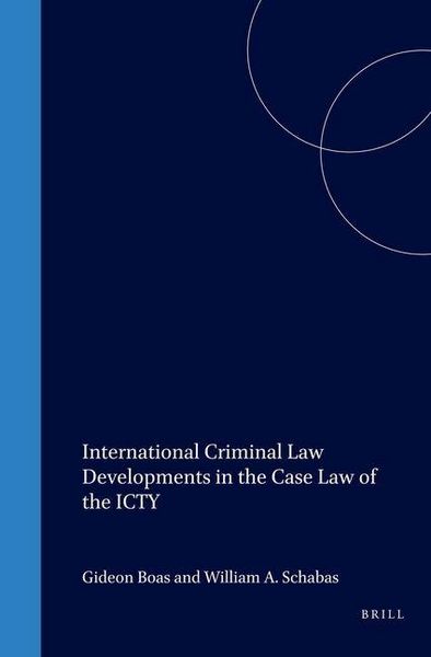 Produktbild: International Criminal Law Developments in the Case Law of the Icty