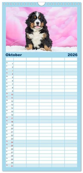 Produktbild: Familienplaner 2026 - Berner Sennenhunde - Faszinierende Herzensbrecher mit 5 Spalten (Wandkalender, 21 x 45 cm) CALVENDO