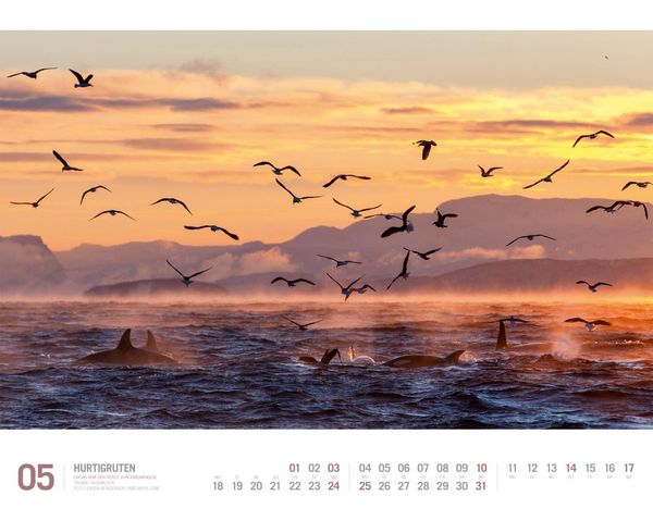 Produktbild: Hurtigruten Kalender 2026 | Unterwegs zwischen Bergen und Kirkenes