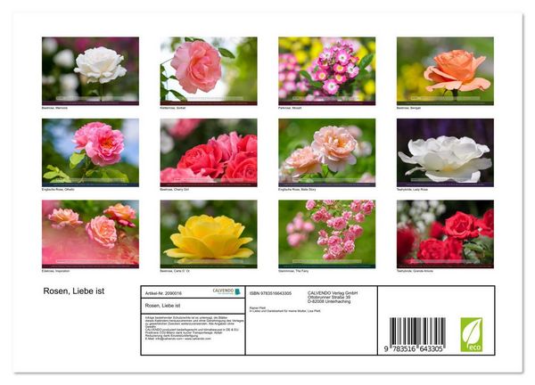 Produktbild: Rosen, Liebe ist (Wandkalender 2026 DIN A4 quer), CALVENDO Monatskalender