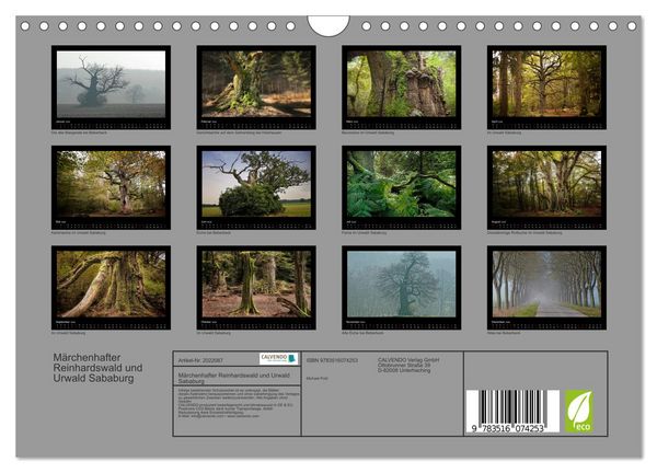 Produktbild: M&auml;rchenhafter Reinhardswald und Urwald Sababurg (Wandkalender 2026 DIN A4 quer), CALVENDO Monatskalender