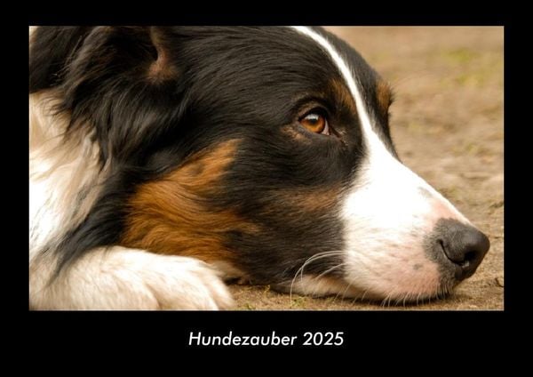 Hundezauber 2025 Fotokalender DIN A3