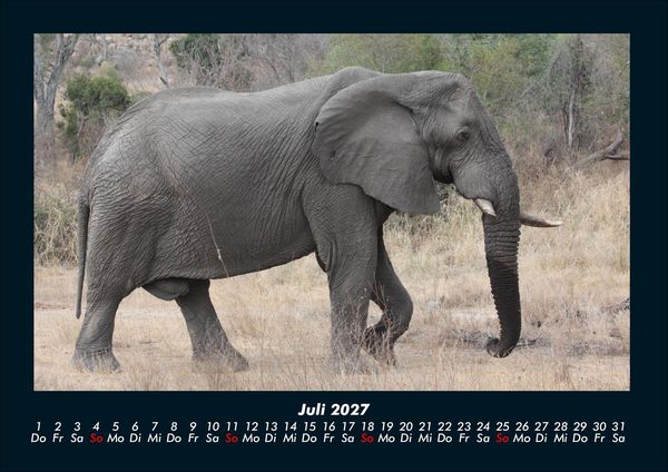 Produktbild: Der Elefantenkalender 2027 Fotokalender DIN A4