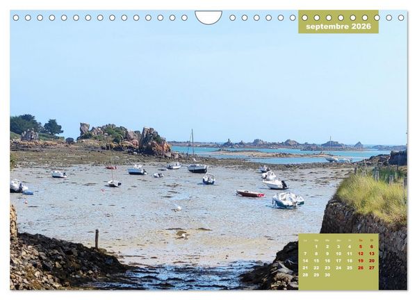 Produktbild: Br&eacute;hat dans tous ses &eacute;tats (Calendrier mural 2026 DIN A4 vertical), CALVENDO calendrier mensuel