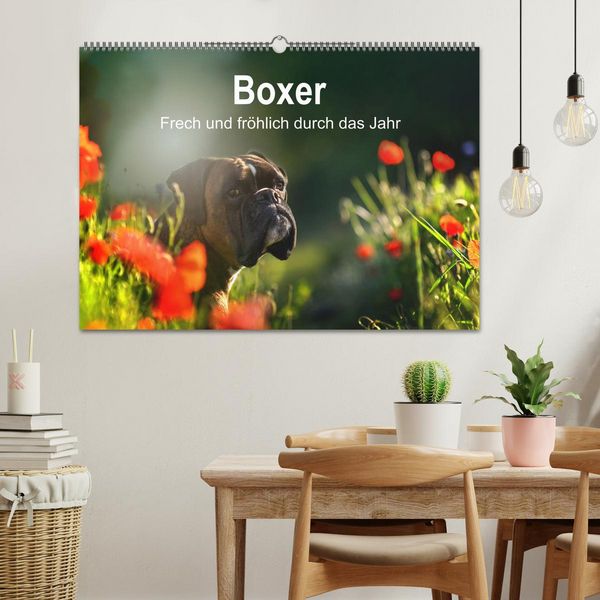 Produktbild: Boxer Frech und fr&ouml;hlich durch das Jahr (Wandkalender 2026 DIN A2 quer), CALVENDO Monatskalender