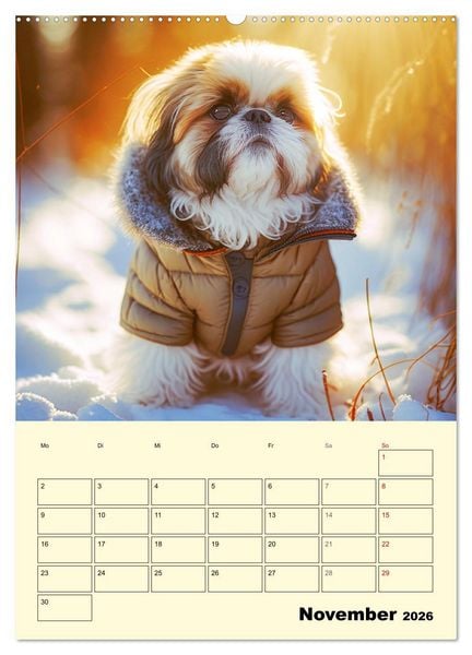 Produktbild: Shih Tzu Alarm. Gl&uuml;ckliche Wuschelk&ouml;pfe (Wandkalender 2026 DIN A2 hoch), CALVENDO Monatskalender