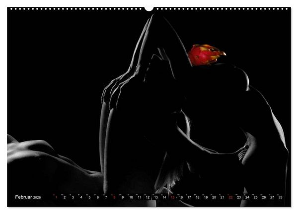 Produktbild: Fruit Nudes 2026 (Wandkalender 2026 DIN A2 quer), CALVENDO Monatskalender