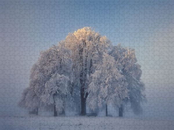 Produktbild: CALVENDO Puzzle Amalienh&ouml;he Heiligenberg, Linzgau | 1000 Teile Lege-Gr&ouml;&szlig;e 64x48cm Foto-Puzzle f&uuml;r gl&uuml;ckliche Stunden