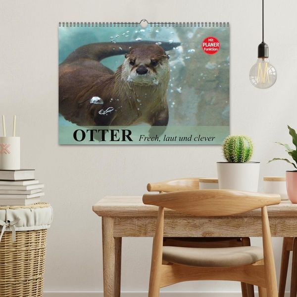 Produktbild: Otter. Frech, laut und clever (Wandkalender 2026 DIN A3 quer), CALVENDO Monatskalender