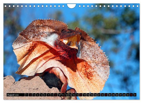 Produktbild: Australiens Tierwelt (Wandkalender 2026 DIN A4 quer), CALVENDO Monatskalender