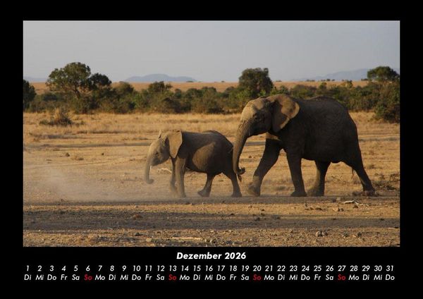 Produktbild: Der Elefantenkalender 2026 Fotokalender DIN A3