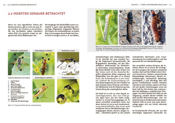 Produktbild: Wildbienen haben es auch nicht leicht