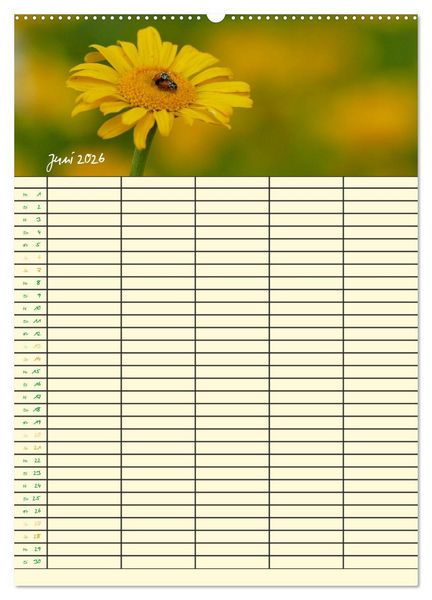 Produktbild: Kleine Natursch&ouml;nheiten (Wandkalender 2026 DIN A2 hoch), CALVENDO Monatskalender