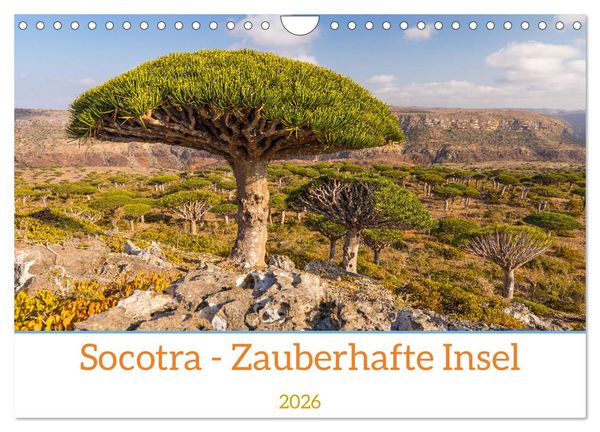Produktbild: Socotra - Zauberhafte Insel (Wandkalender 2026 DIN A4 quer), CALVENDO Monatskalender