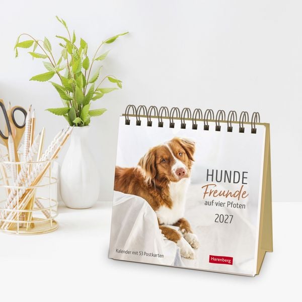 Produktbild: Hunde Premium-Postkartenkalender 2027 - Freunde auf vier Pfoten; Kalender mit 53 Postkarten