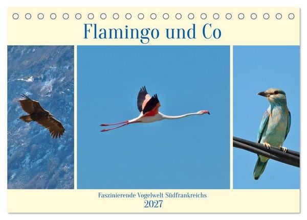 Produktbild: Flamingo und Co - Faszinierende Vogelwelt S&uuml;dfrankreichs (Tischkalender 2027 DIN A5 quer), CALVENDO Monatskalender