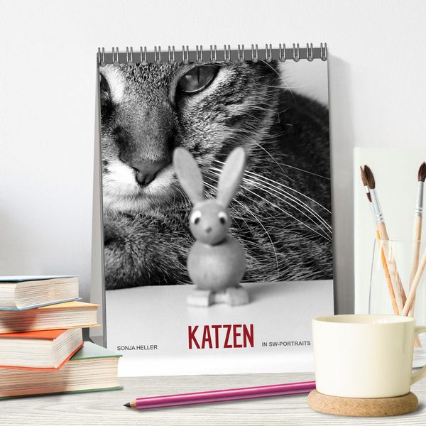 Produktbild: Sonja Heller Katzen in SW-Portraits (Tischkalender 2026 DIN A5 hoch), CALVENDO Monatskalender