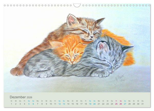 Produktbild: KATZEN PortraiTierART (Wandkalender 2026 DIN A3 quer), CALVENDO Monatskalender