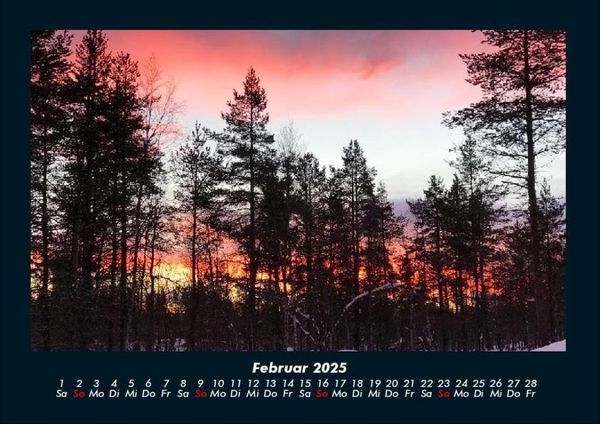 Produktbild: B&auml;ume 2025 Fotokalender DIN A4