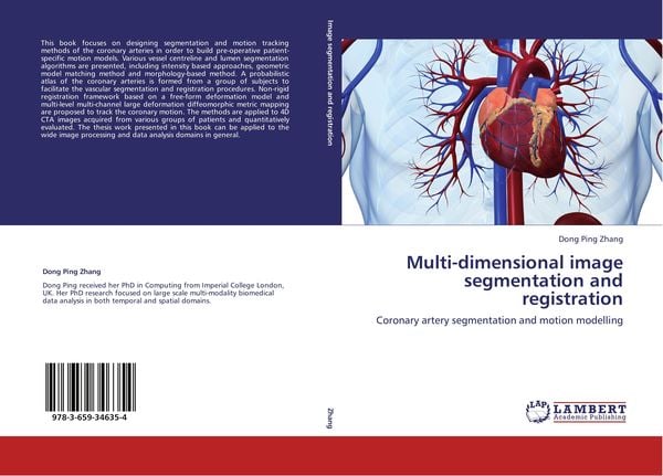 Produktbild: Multi-dimensional image segmentation and registration