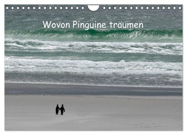 Produktbild: Wovon Pinguine tr&auml;umen (Wandkalender 2026 DIN A4 quer), CALVENDO Monatskalender