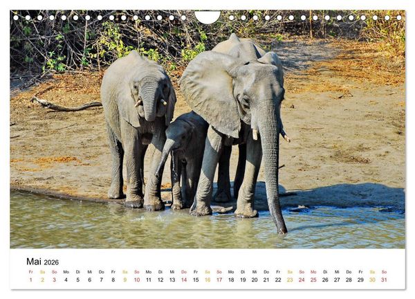 Produktbild: Elefanten Impressionen (Wandkalender 2026 DIN A4 quer), CALVENDO Monatskalender