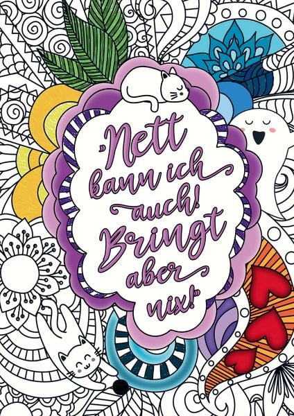 Produktbild: Nett kann ich auch! Bringt aber nix! &ndash; Das freche Malbuch f&uuml;r Erwachsene