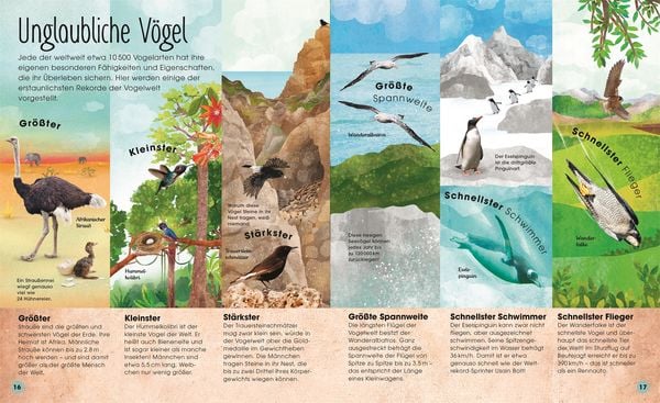 Produktbild: Die schillernde Welt der V&ouml;gel