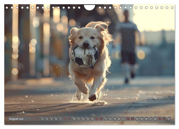 Produktbild: Tierische Balljunkies (Wandkalender 2026 DIN A4 quer), CALVENDO Monatskalender