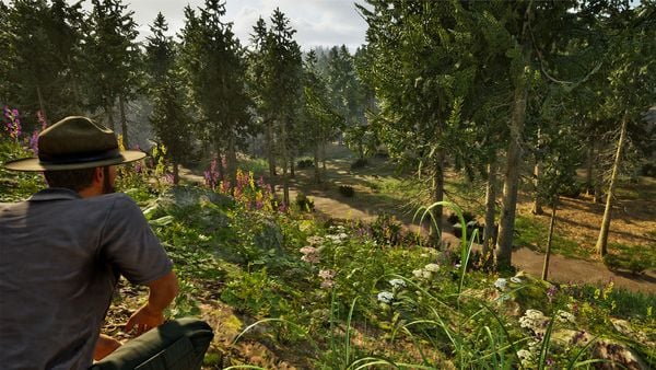 Produktbild: Park Ranger Simulator