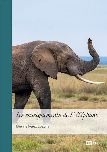Produktbild: Les enseignements de l elephant