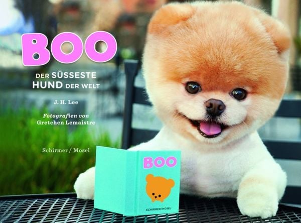 Produktbild: Boo - Der s&uuml;&szlig;este Hund der Welt
