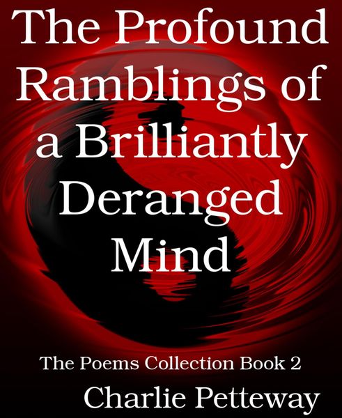 Produktbild: The Profound Ramblings of a Brilliantly Deranged Mind