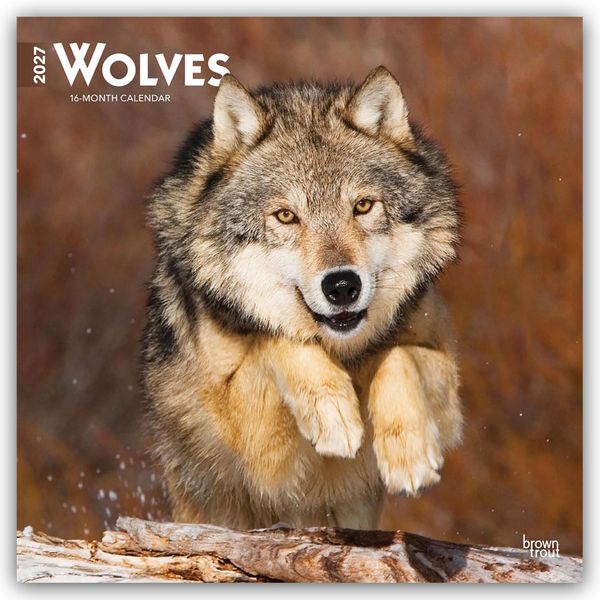 Produktbild: Wolves &ndash; W&ouml;lfe 2027 &ndash; 16-Monatskalender