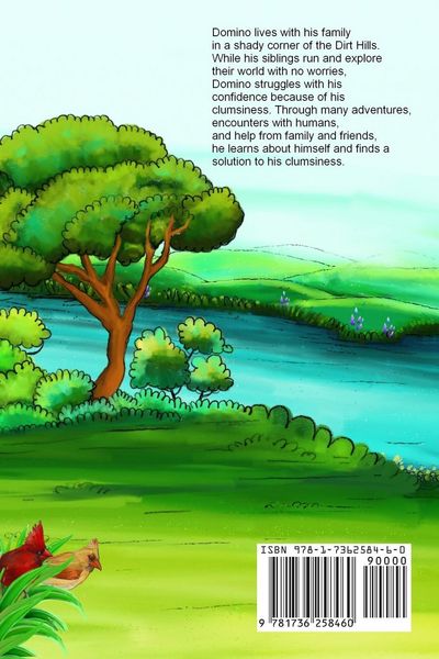 Produktbild: The Many Adventures of Domino the Common Raccoon