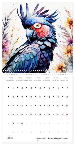 Produktbild: Des perroquets color&eacute;s (Calendrier mural carr&eacute; 2026 30x30 cm) Calendrier double avec une page pour vos prises de notes