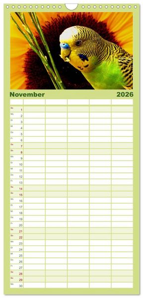 Produktbild: Familienplaner 2026 - Wellensittiche - Naturkalender mit 5 Spalten (Wandkalender, 21 x 45 cm) CALVENDO