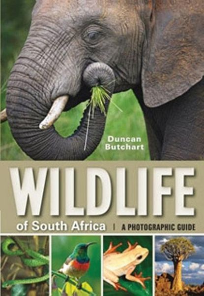 Produktbild: Wildlife of South Africa