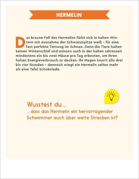 Produktbild: Der GEOlino-Kalender 2027