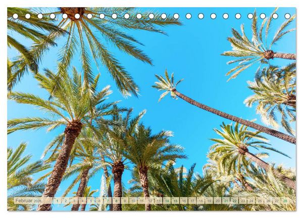 Produktbild: Oben - Bilder aus der Froschperspektive (Tischkalender 2026 DIN A5 quer), CALVENDO Monatskalender