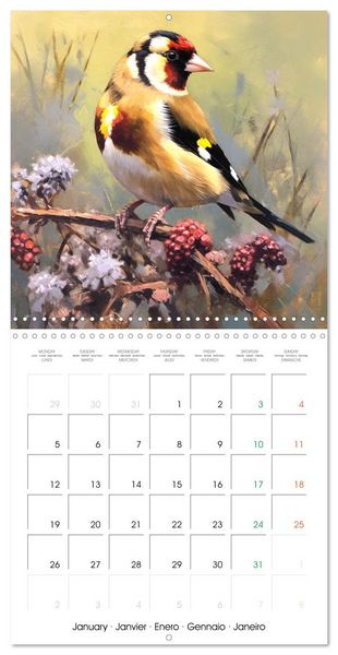 Produktbild: Ailes en sc&egrave;ne (Calendrier mural carr&eacute; 2026 30x30 cm) Calendrier double avec une page pour vos prises de notes